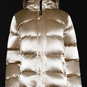 Aritizia Super Puff Liquid Shine